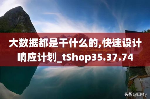 大数据都是干什么的,快速设计响应计划_tShop35.37.74