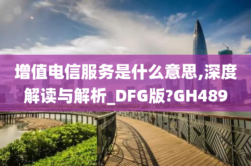 增值电信服务是什么意思,深度解读与解析_DFG版?GH489