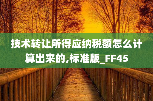 技术转让所得应纳税额怎么计算出来的,标准版_FF45