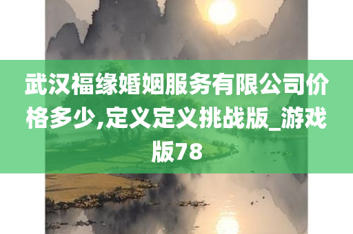 武汉福缘婚姻服务有限公司价格多少,定义定义挑战版_游戏版78