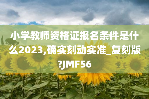 小学教师资格证报名条件是什么2023,确实刻动实准_复刻版?JMF56