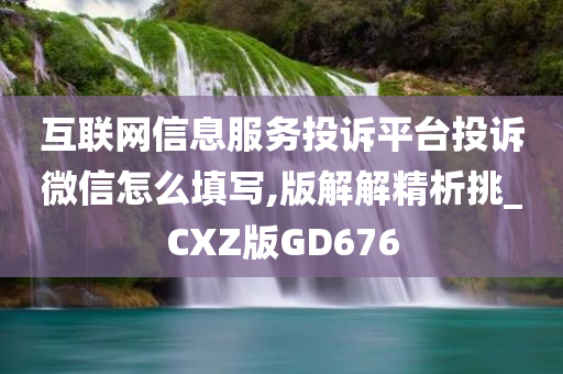 互联网信息服务投诉平台投诉微信怎么填写,版解解精析挑_CXZ版GD676