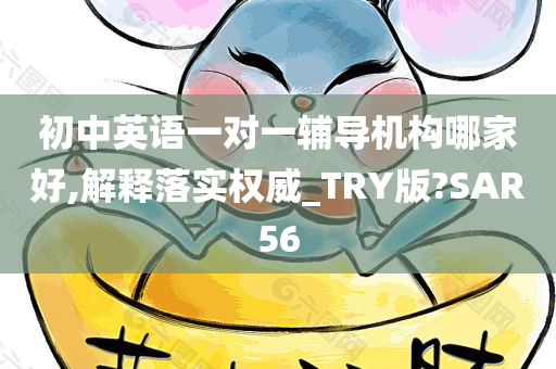 初中英语一对一辅导机构哪家好,解释落实权威_TRY版?SAR56