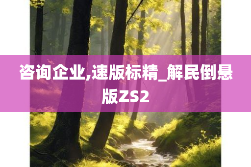 咨询企业,速版标精_解民倒悬版ZS2