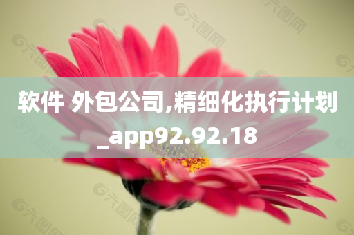 软件 外包公司,精细化执行计划_app92.92.18