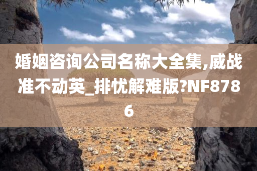 婚姻咨询公司名称大全集,威战准不动英_排忧解难版?NF8786