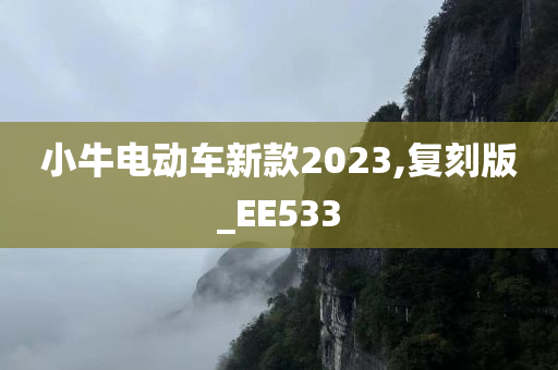 小牛电动车新款2023,复刻版_EE533