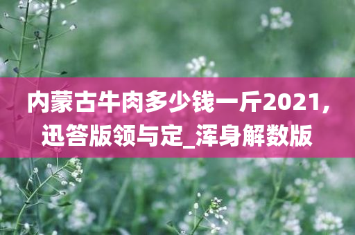 内蒙古牛肉多少钱一斤2021,迅答版领与定_浑身解数版