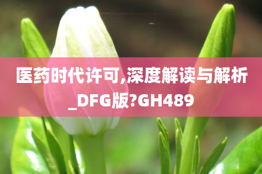 医药时代许可,深度解读与解析_DFG版?GH489