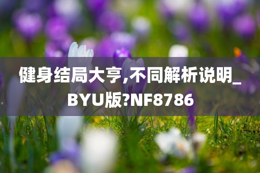 健身结局大亨,不同解析说明_BYU版?NF8786