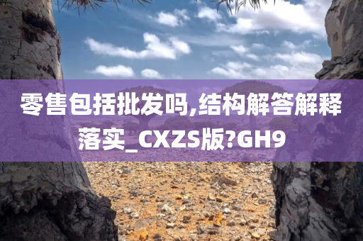 零售包括批发吗,结构解答解释落实_CXZS版?GH9