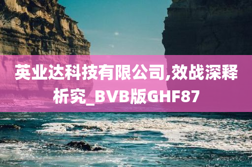 英业达科技有限公司,效战深释析究_BVB版GHF87