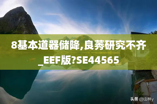 8基本道器储降,良莠研究不齐_EEF版?SE44565