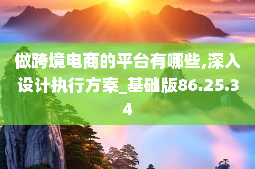 做跨境电商的平台有哪些,深入设计执行方案_基础版86.25.34