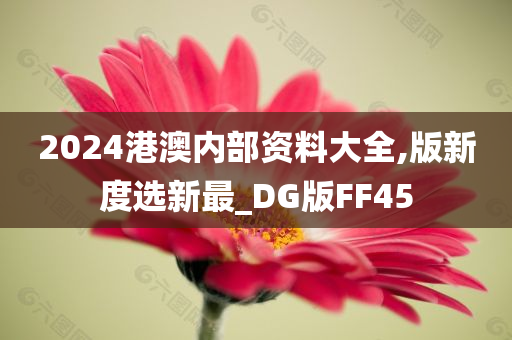 2024港澳内部资料大全,版新度选新最_DG版FF45