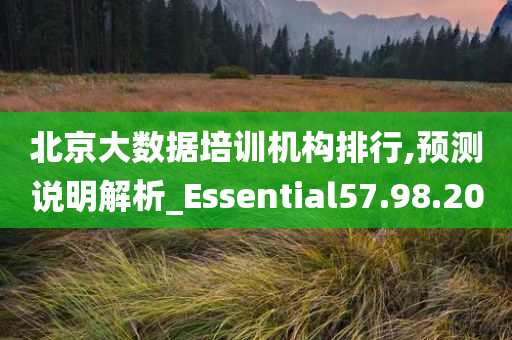 北京大数据培训机构排行,预测说明解析_Essential57.98.20