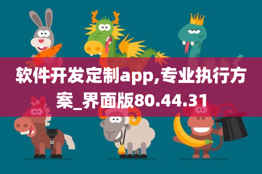 软件开发定制app,专业执行方案_界面版80.44.31