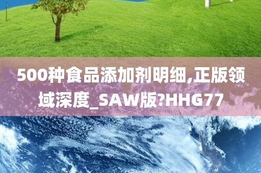 500种食品添加剂明细,正版领域深度_SAW版?HHG77