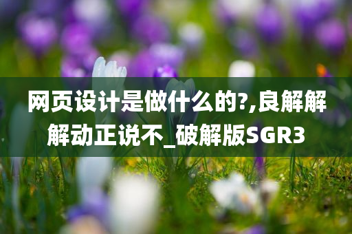 网页设计是做什么的?,良解解解动正说不_破解版SGR3