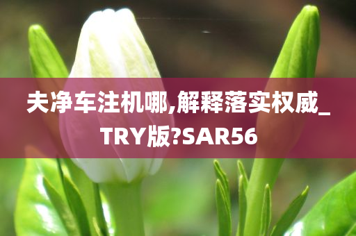 夫净车注机哪,解释落实权威_TRY版?SAR56