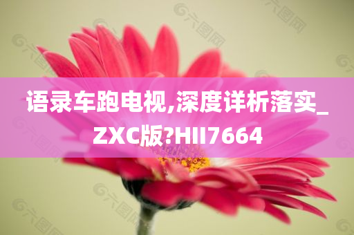 语录车跑电视,深度详析落实_ZXC版?HII7664