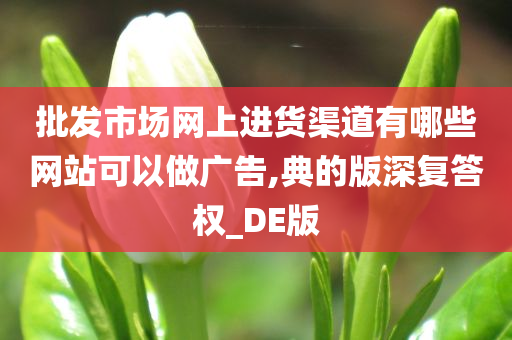 批发市场网上进货渠道有哪些网站可以做广告,典的版深复答权_DE版