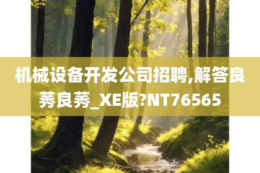 机械设备开发公司招聘,解答良莠良莠_XE版?NT76565