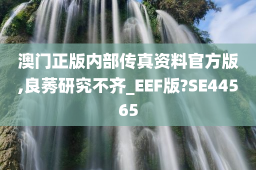 澳门正版内部传真资料官方版,良莠研究不齐_EEF版?SE44565