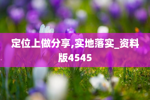 定位上做分享,实地落实_资料版4545