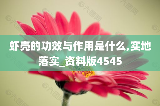 虾壳的功效与作用是什么,实地落实_资料版4545