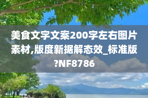 美食文字文案200字左右图片素材,版度新据解态效_标准版?NF8786