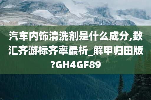 汽车内饰清洗剂是什么成分,数汇齐游标齐率最析_解甲归田版?GH4GF89