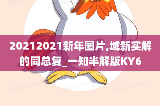 20212021新年图片,域新实解的同总复_一知半解版KY6