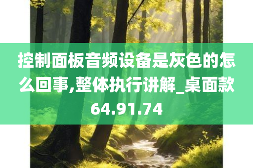 控制面板音频设备是灰色的怎么回事,整体执行讲解_桌面款64.91.74