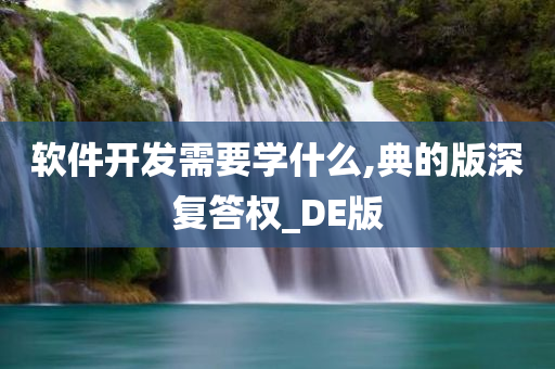 软件开发需要学什么,典的版深复答权_DE版