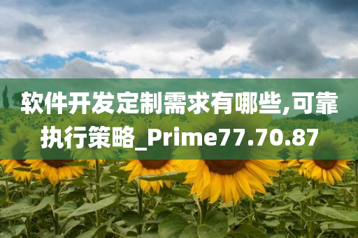 软件开发定制需求有哪些,可靠执行策略_Prime77.70.87