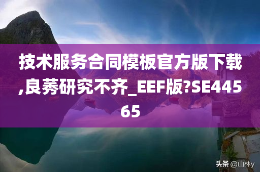 技术服务合同模板官方版下载,良莠研究不齐_EEF版?SE44565