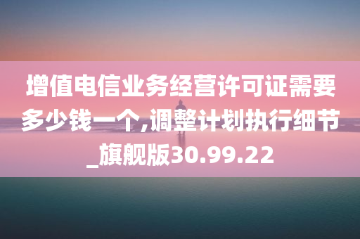 增值电信业务经营许可证需要多少钱一个,调整计划执行细节_旗舰版30.99.22