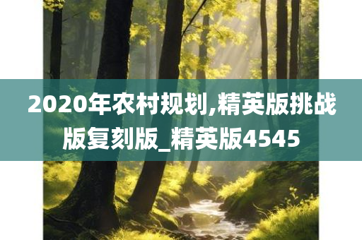 2020年农村规划,精英版挑战版复刻版_精英版4545