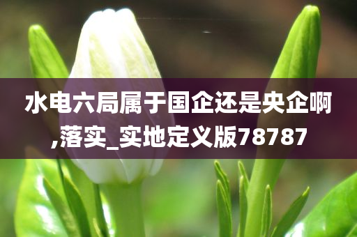 水电六局属于国企还是央企啊,落实_实地定义版78787