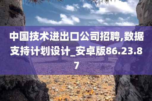 中国技术进出口公司招聘,数据支持计划设计_安卓版86.23.87