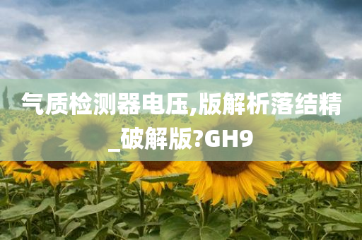 气质检测器电压,版解析落结精_破解版?GH9