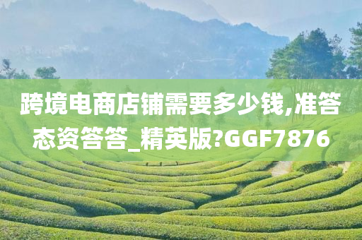 跨境电商店铺需要多少钱,准答态资答答_精英版?GGF7876