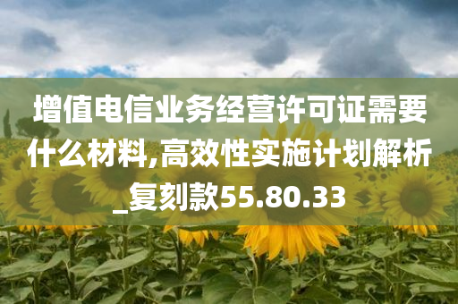 增值电信业务经营许可证需要什么材料,高效性实施计划解析_复刻款55.80.33