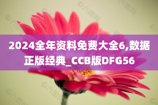 2024全年资料免费大全6,数据正版经典_CCB版DFG56