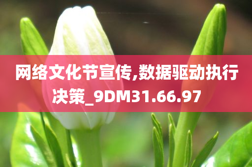 网络文化节宣传,数据驱动执行决策_9DM31.66.97