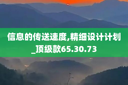 信息的传送速度,精细设计计划_顶级款65.30.73