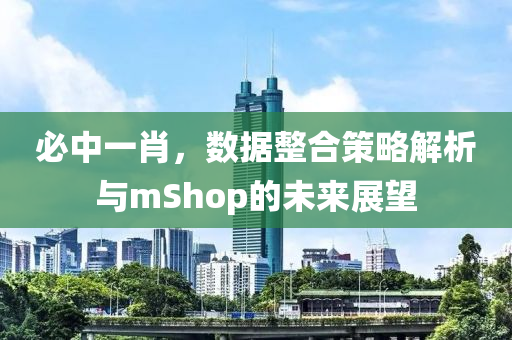 必中一肖，数据整合策略解析与mShop的未来展望