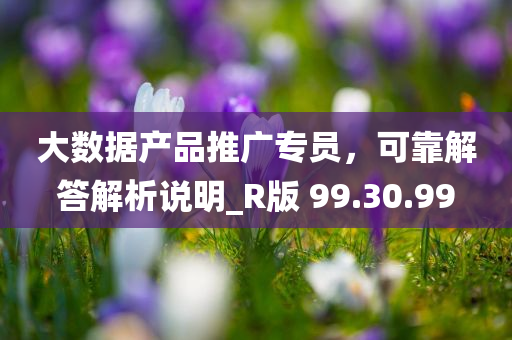 大数据产品推广专员，可靠解答解析说明_R版 99.30.99