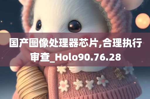 国产图像处理器芯片,合理执行审查_Holo90.76.28